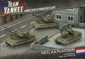 Team Yankee - PRTL AA Platoon