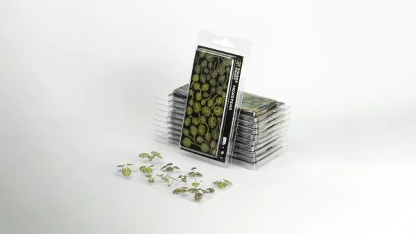 Gamers Grass - Montsera