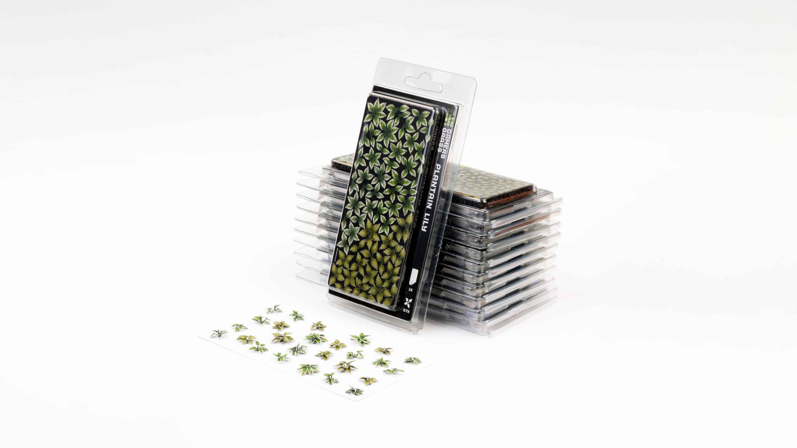 Gamers Grass - Plaintain Lily